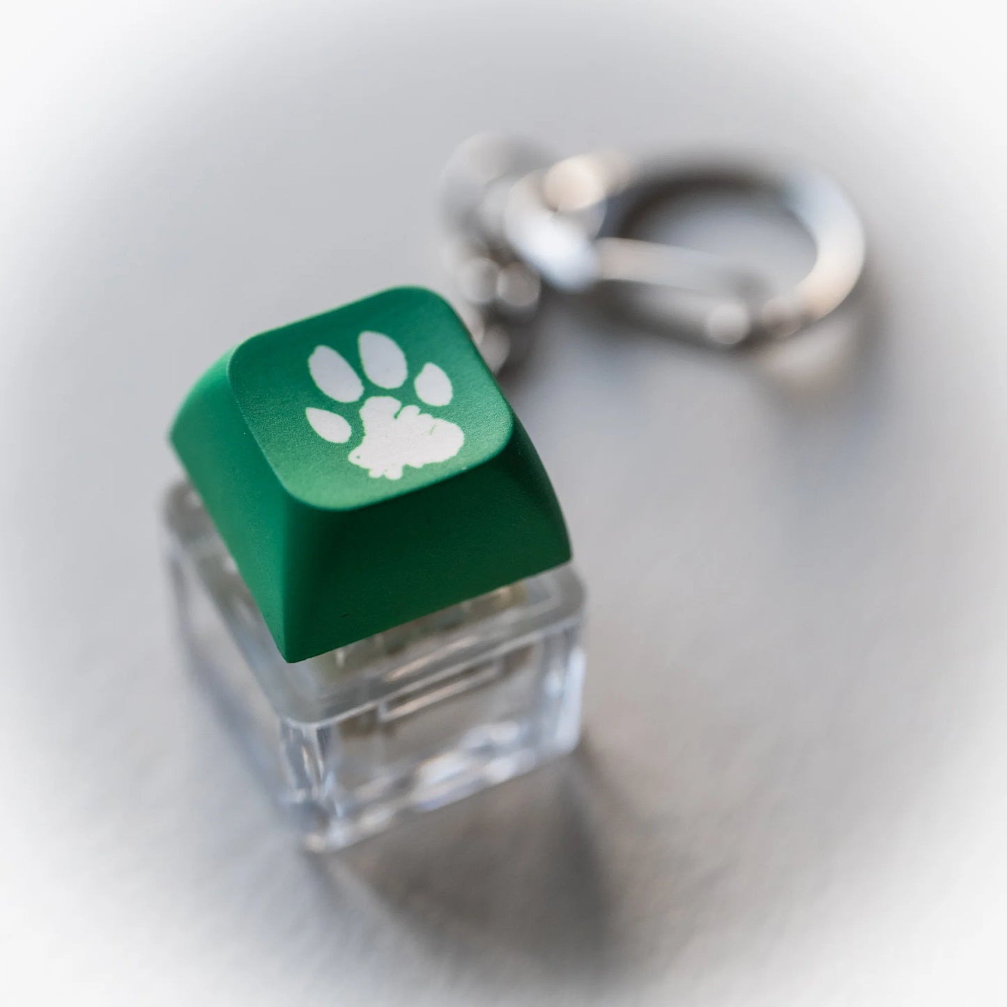 Green Paw Clicky Keychain - pressable keyboard-key fidget toy with paw print by PlayGay