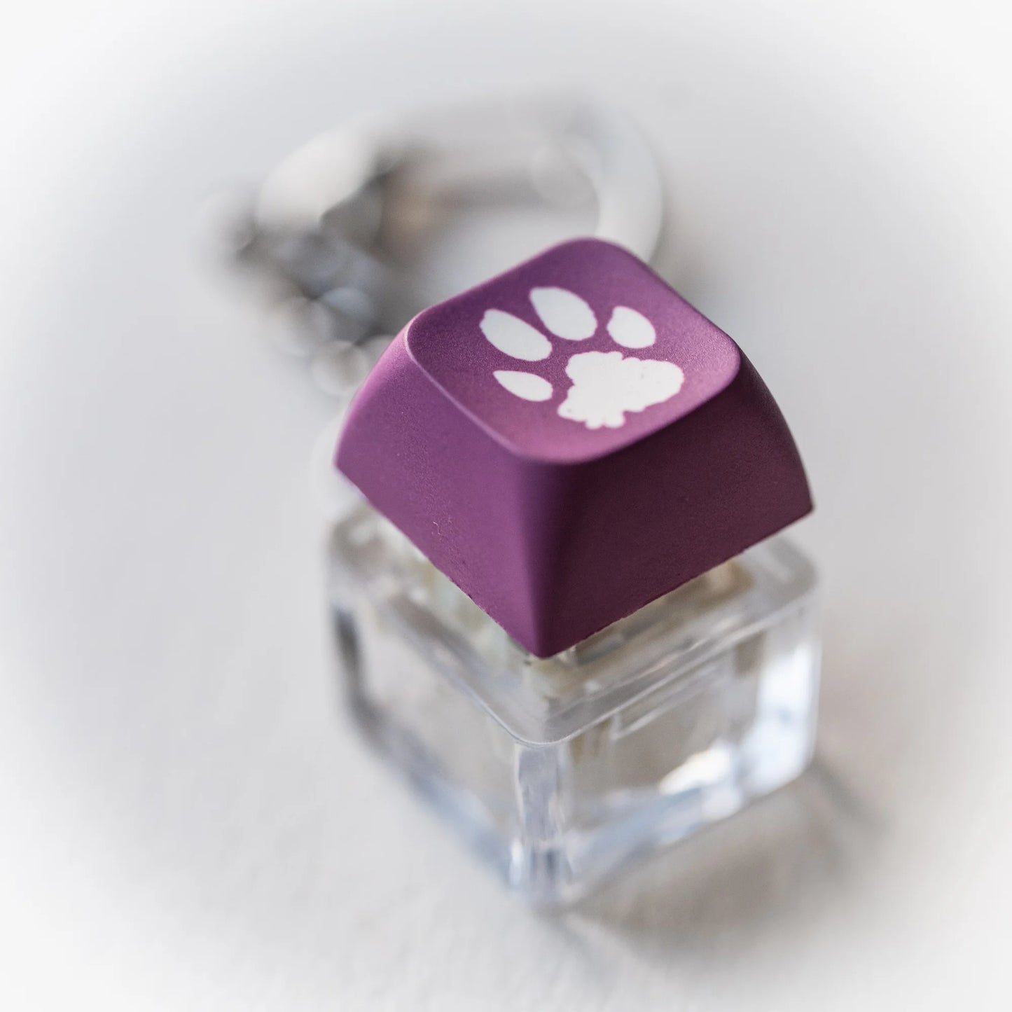 Purple Paw Clicky Keychain - pressable keyboard-key fidget toy with paw print by PlayGay
